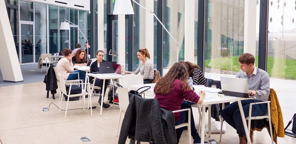 Employee/ Personnel Relocation to Lithuania